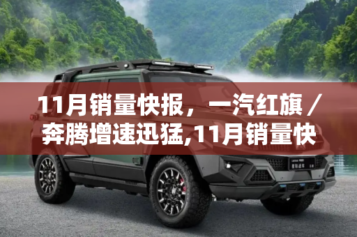 11月销量快报，一汽红旗／奔腾增速迅猛,11月销量快报：一汽红旗／奔腾增速迅猛