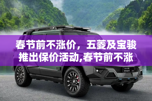 春节前不涨价，五菱及宝骏推出保价活动,春节前不涨价 五菱及宝骏推出保价活动