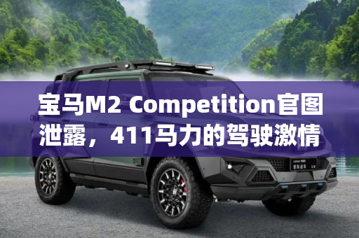 宝马M2 Competition官图泄露，411马力的驾驶激情即将到来,411马力 宝马M2 Competition官图泄露