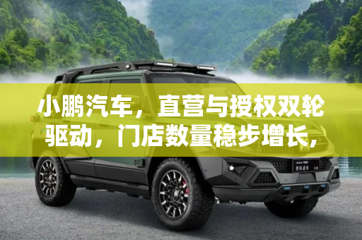 小鹏汽车，直营与授权双轮驱动，门店数量稳步增长,直营 授权 小鹏汽车门店数量正逐步扩大