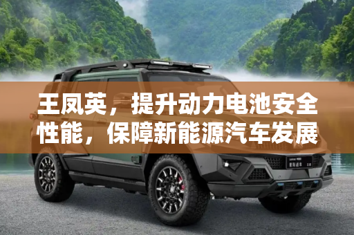 王凤英，提升动力电池安全性能，保障新能源汽车发展,王凤英：提高动力电池安全性能迫在眉睫