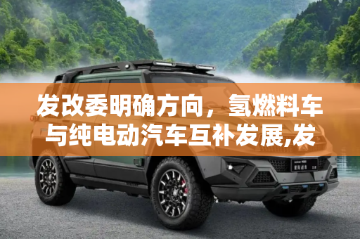 发改委明确方向，氢燃料车与纯电动汽车互补发展,发改委：氢燃料车与纯电动汽车互补发展