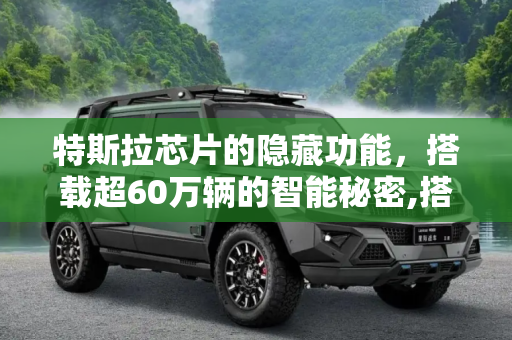 特斯拉芯片的隐藏功能，搭载超60万辆的智能秘密,搭载超60万辆 特斯拉芯片曝隐藏功能