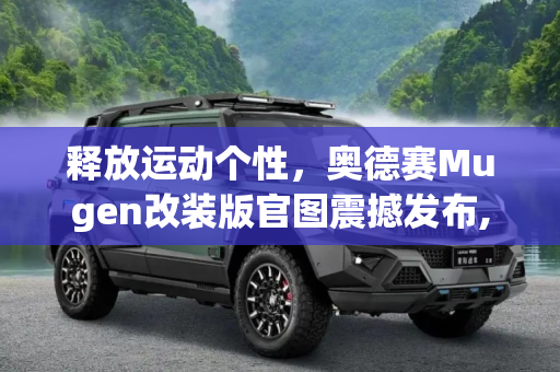 释放运动个性，奥德赛Mugen改装版官图震撼发布,运动个性 奥德赛Mugen改装版官图发布