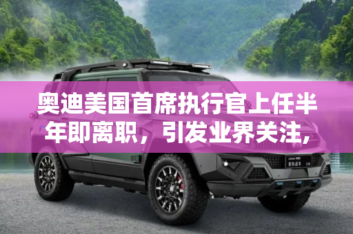 奥迪美国首席执行官上任半年即离职，引发业界关注,上任不到半年 奥迪美国首席执行官离职