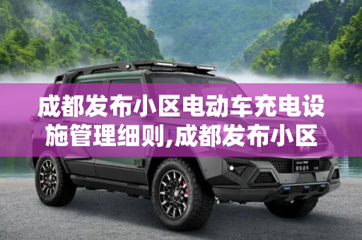 成都发布小区电动车充电设施管理细则,成都发布小区电动车充电设施管理细则