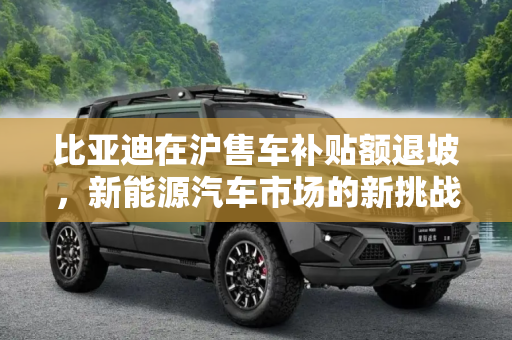 比亚迪在沪售车补贴额退坡，新能源汽车市场的新挑战与机遇,您怎么看？比亚迪在沪售车补贴额将退坡