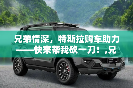 兄弟情深，特斯拉购车助力——快来帮我砍一刀！,兄弟！我在买特斯拉，快来帮我砍一刀
