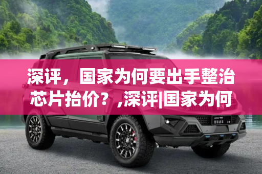深评，国家为何要出手整治芯片抬价？,深评|国家为何要出手整治芯片抬价？