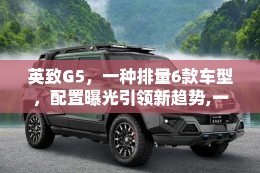 英致G5，一种排量6款车型，配置曝光引领新趋势,一种排量6款车型 英致G5部分配置曝光