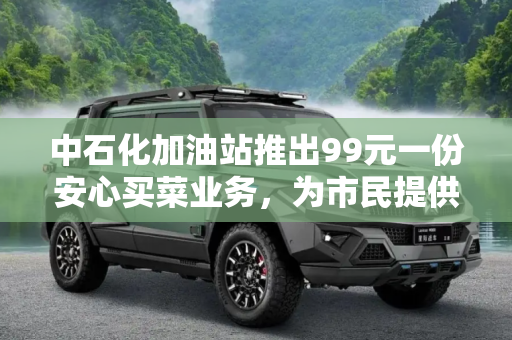 中石化加油站推出99元一份安心买菜业务，为市民提供便利,99元一份 中石化加油站推安心买菜业务