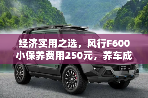 经济实用之选，风行F600小保养费用250元，养车成本解析,小保养费用250元 风行F600养车成本解析