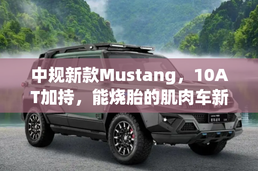 中规新款Mustang，10AT加持，能烧胎的肌肉车新体验,10AT/能“烧胎” 中规新款Mustang配置
