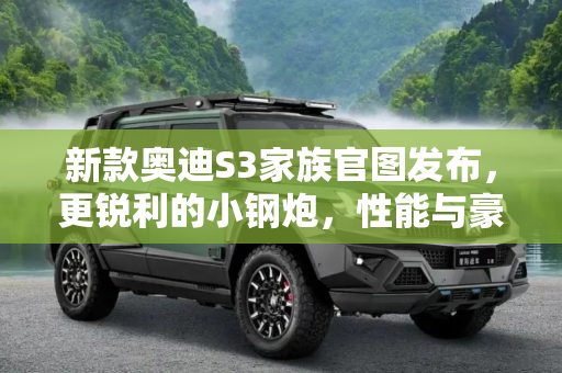 新款奥迪S3家族官图发布，更锐利的小钢炮，性能与豪华的完美结合,更锐利的小钢炮 新款奥迪S3家族官图