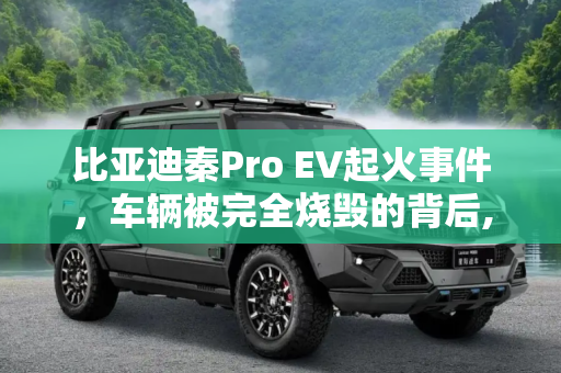 比亚迪秦Pro EV起火事件，车辆被完全烧毁的背后,车辆被完全烧毁 比亚迪秦Pro EV起火
