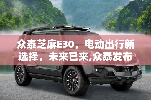 众泰芝麻E30，电动出行新选择，未来已来,众泰发布电动车芝麻E30