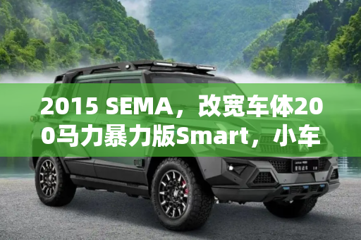 2015 SEMA，改宽车体200马力暴力版Smart，小车也有大能量,2015 SEMA：改宽车体200马力暴力smart