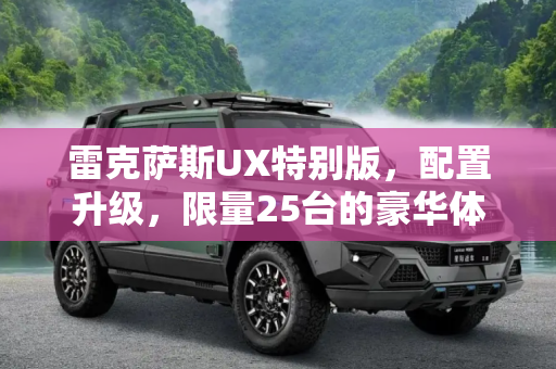 雷克萨斯UX特别版，配置升级，限量25台的豪华体验,配置升级/限25台 雷克萨斯UX特别版官图