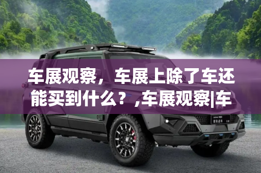 车展观察，车展上除了车还能买到什么？,车展观察|车展上除了车还能买到什么？