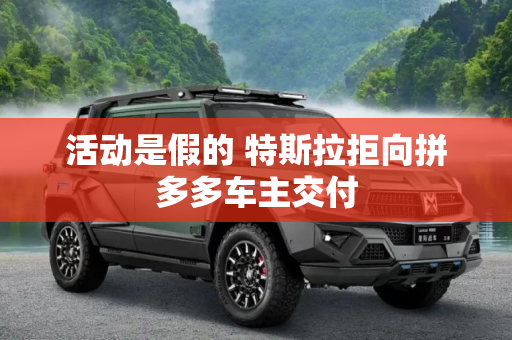活动是假的 特斯拉拒向拼多多车主交付