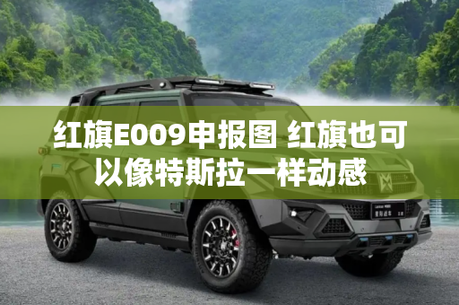 红旗E009申报图 红旗也可以像特斯拉一样动感