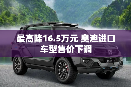 最高降16.5万元 奥迪进口车型售价下调