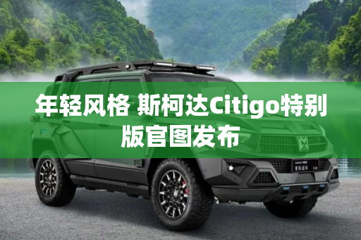 年轻风格 斯柯达Citigo特别版官图发布