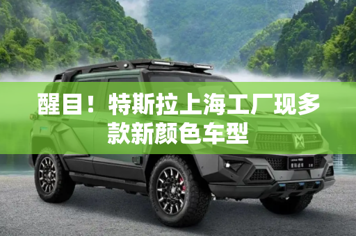 醒目！特斯拉上海工厂现多款新颜色车型