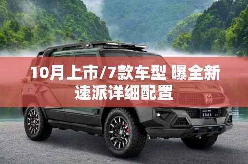 10月上市/7款车型 曝全新速派详细配置
