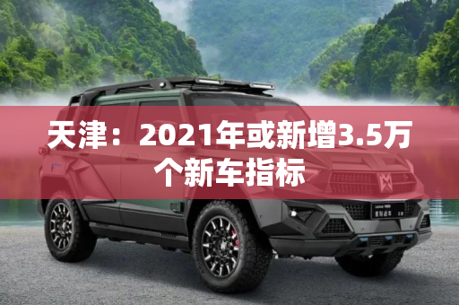 天津：2021年或新增3.5万个新车指标