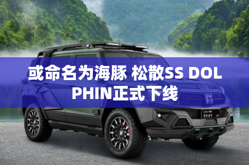 或命名为海豚 松散SS DOLPHIN正式下线