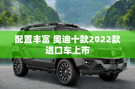 配置丰富 奥迪十款2022款进口车上市