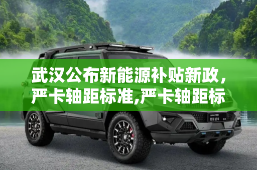 武汉公布新能源补贴新政，严卡轴距标准,严卡轴距标准 武汉公布新能源补贴新政