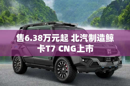 售6.38万元起 北汽制造鲸卡T7 CNG上市