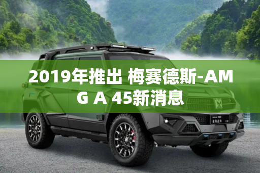 2019年推出 梅赛德斯-AMG A 45新消息