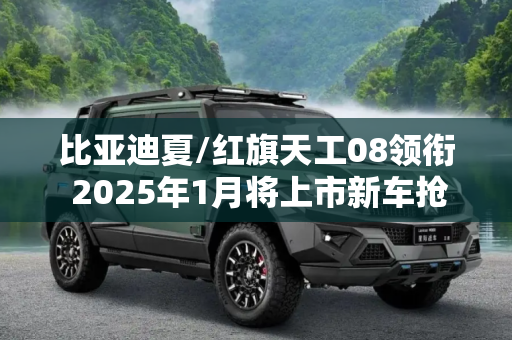比亚迪夏/红旗天工08领衔 2025年1月将上市新车抢先看