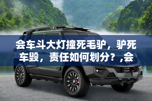会车斗大灯撞死毛驴，驴死车毁，责任如何划分？,会车斗大灯撞死毛驴 驴死车毁谁来赔