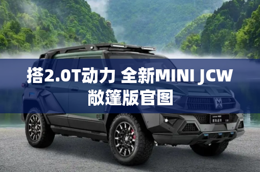 搭2.0T动力 全新MINI JCW敞篷版官图