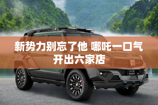 新势力别忘了他 哪吒一口气开出六家店