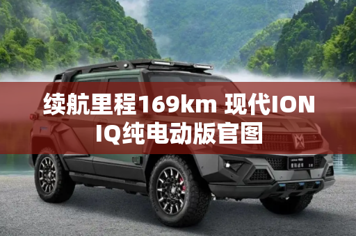 续航里程169km 现代IONIQ纯电动版官图