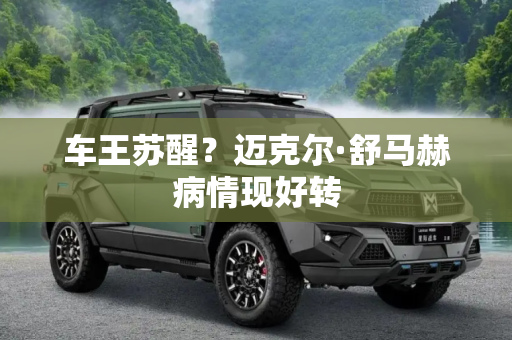 车王苏醒？迈克尔·舒马赫病情现好转