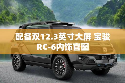配备双12.3英寸大屏 宝骏RC-6内饰官图