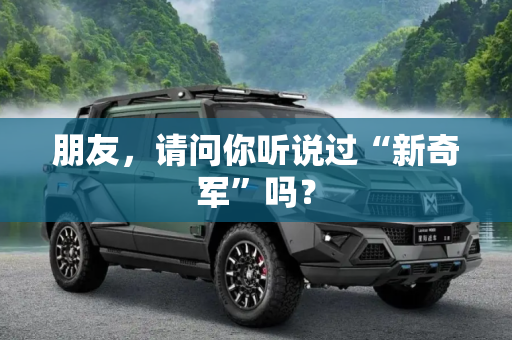 朋友，请问你听说过“新奇军”吗？
