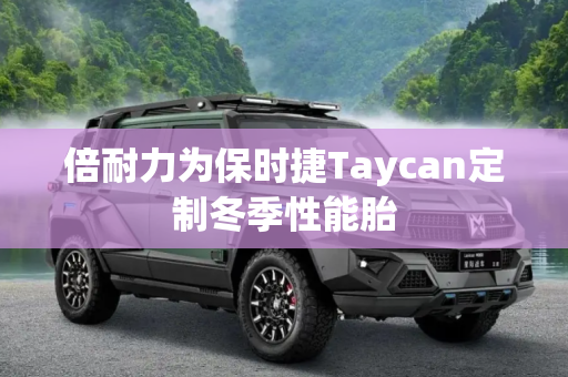 倍耐力为保时捷Taycan定制冬季性能胎