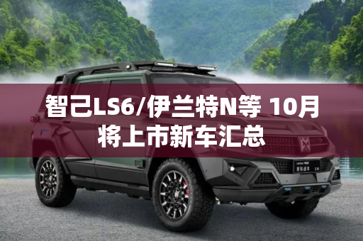智己LS6/伊兰特N等 10月将上市新车汇总