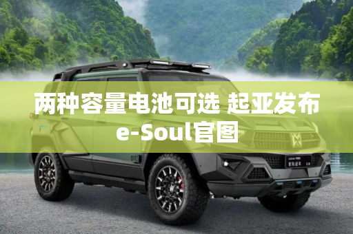 两种容量电池可选 起亚发布e-Soul官图