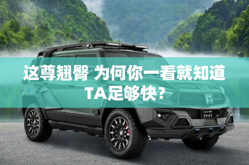 这尊翘臀 为何你一看就知道TA足够快？