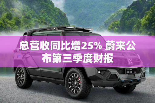 总营收同比增25% 蔚来公布第三季度财报