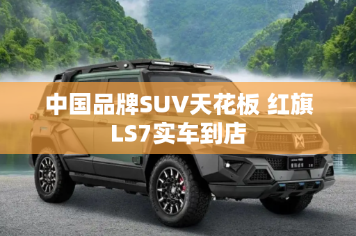 中国品牌SUV天花板 红旗LS7实车到店