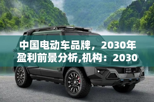 中国电动车品牌，2030年盈利前景分析,机构：2030年中国电动车品牌1/7能盈利